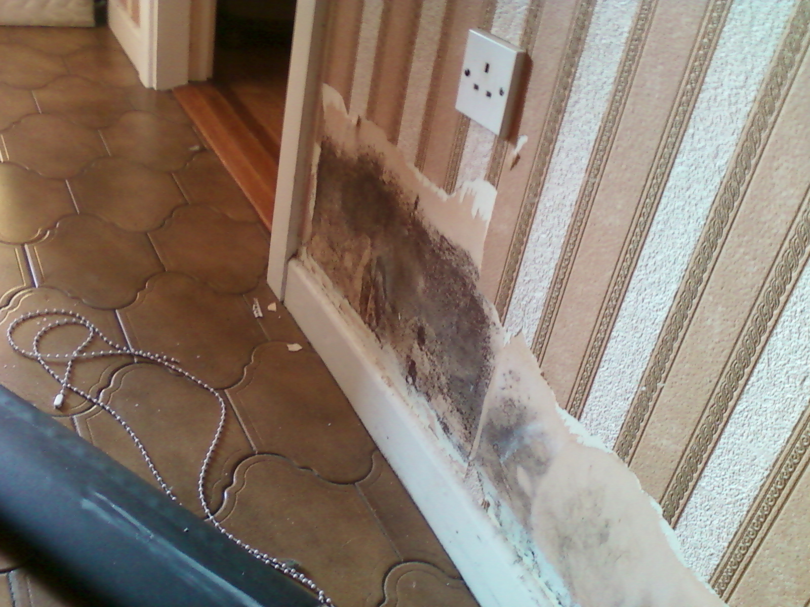 Mould under wall paper