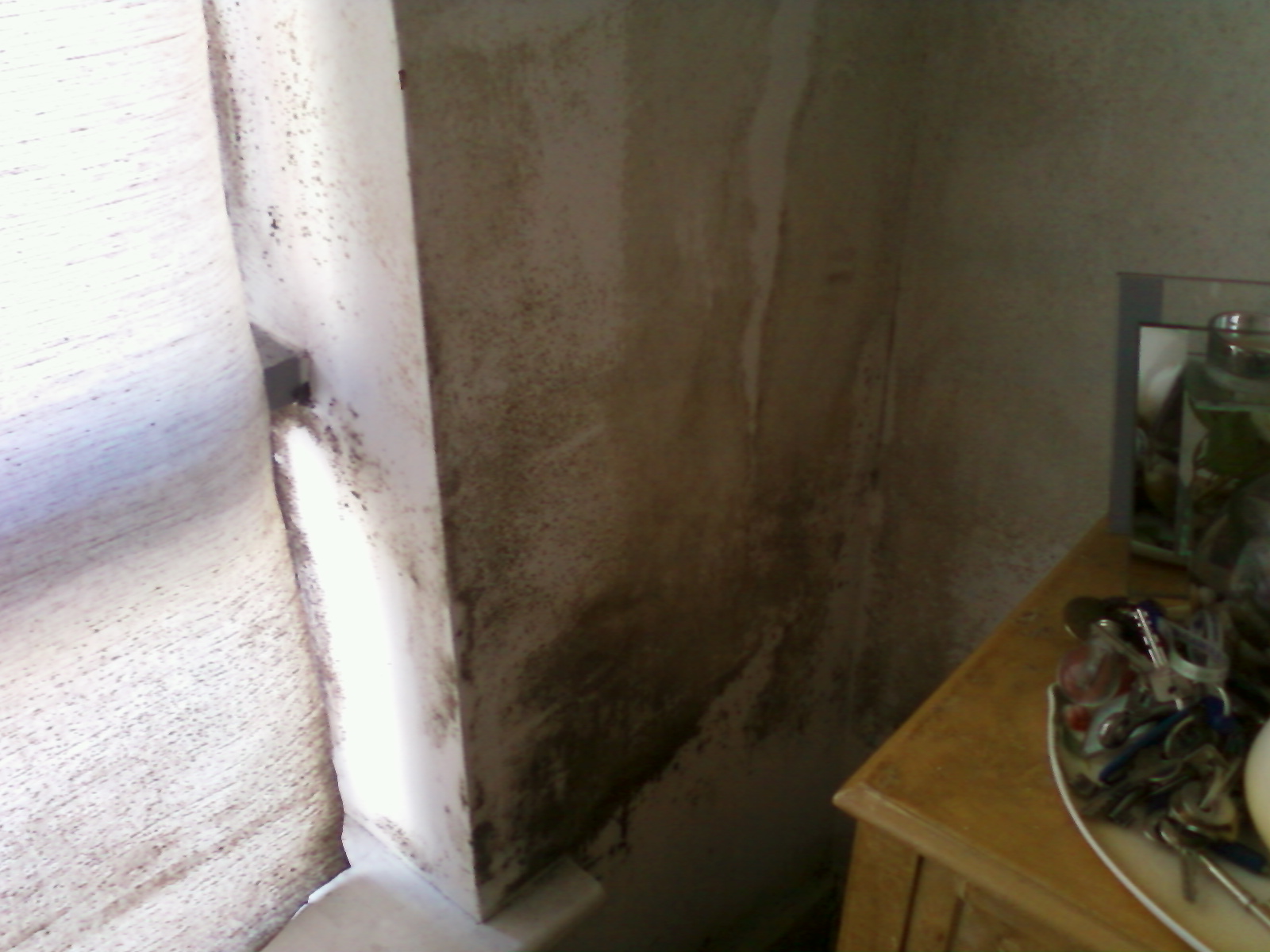 Mould infected apartment