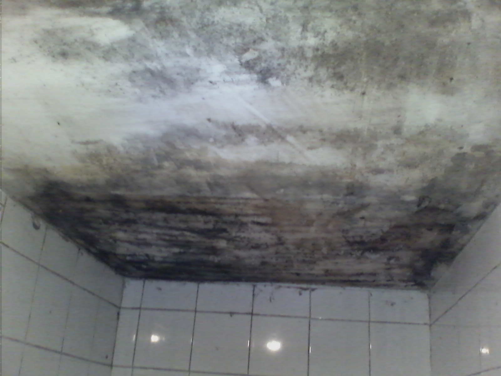 mould infected ceiling