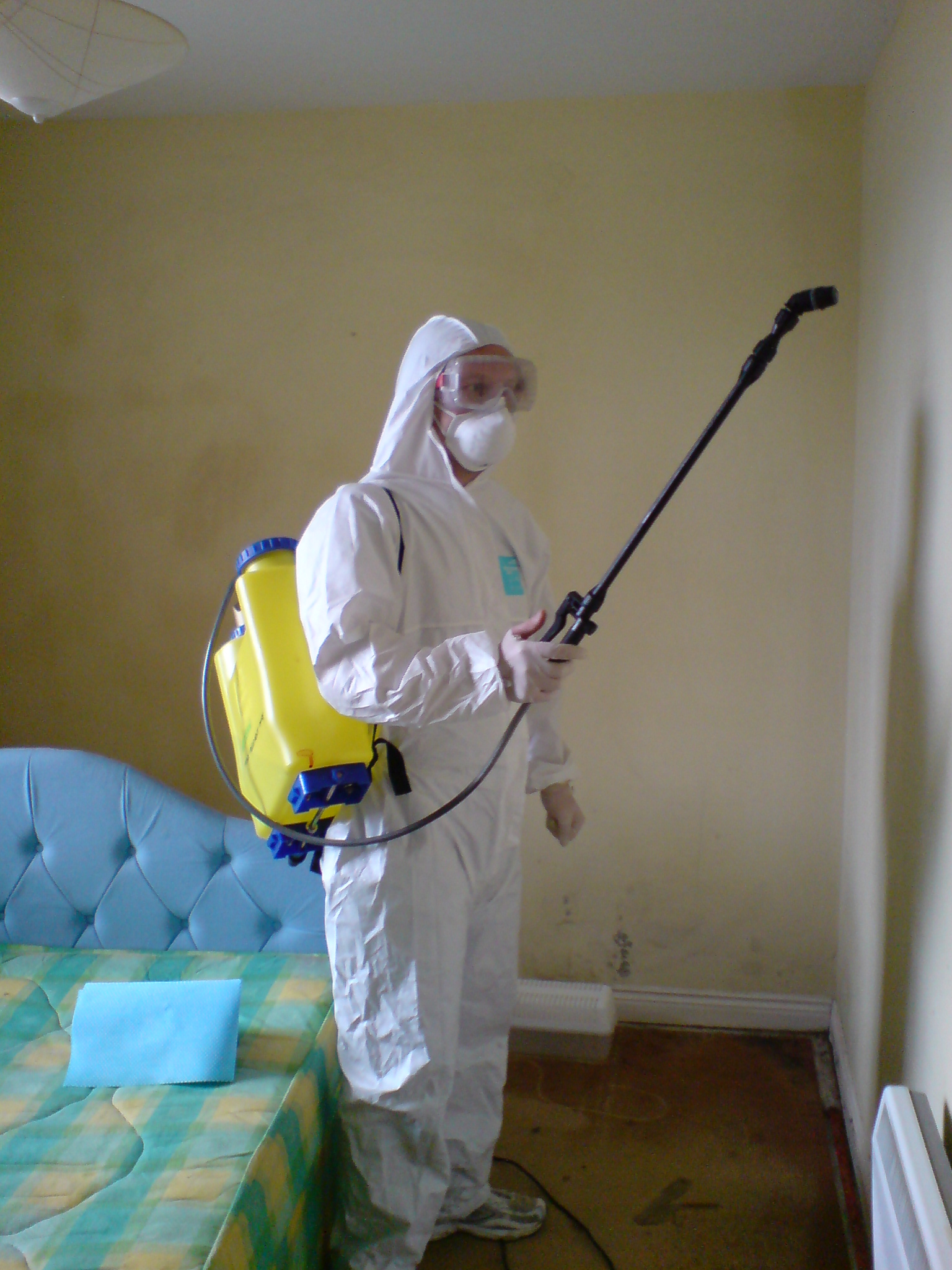 mould busters ireland