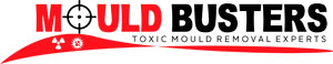Mould-busters-ireland-toxic-mould-removal-dublin