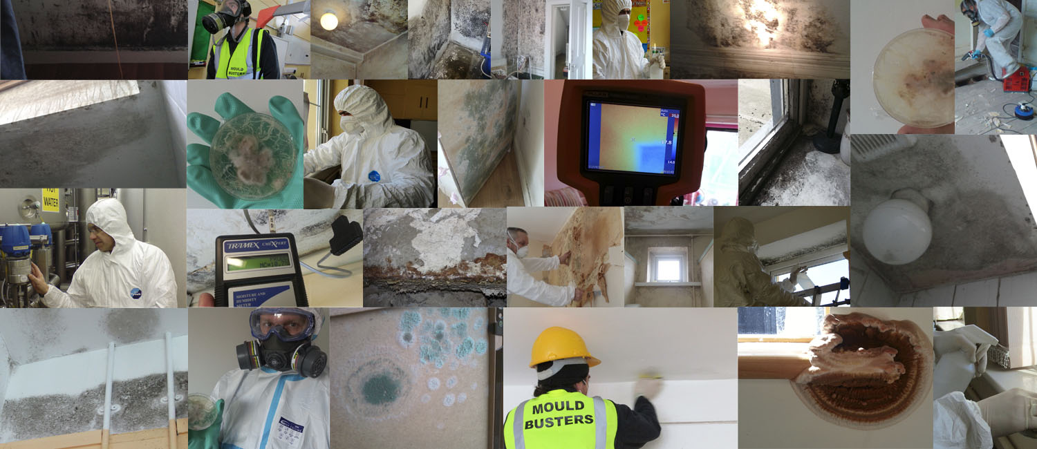 mould-busters-ireland-removal-testing