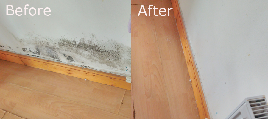 mould-removal-dublin
