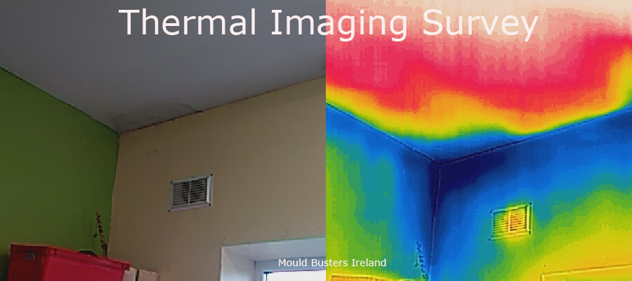 thermal-imaging-service-heat-loss-survey-wicklow