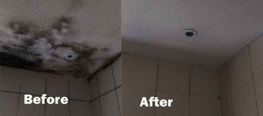 mould-removal-galway