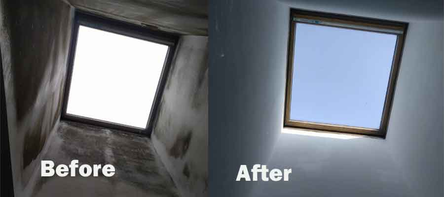 mould-removal-dublin