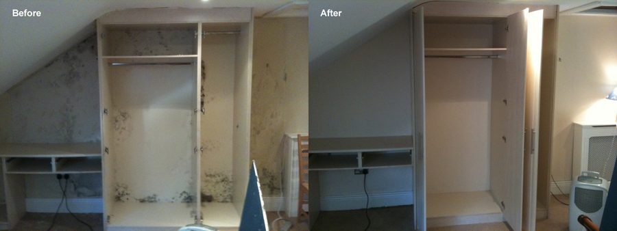 Mouldy Wardrobe Mould Busters