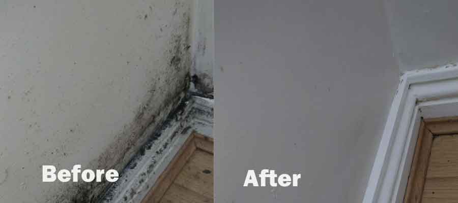 mould-busters-projects